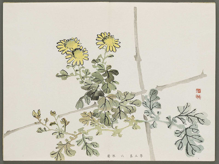 Shuga hyakudai Volume 5 by Kawabata Gyokusho / BJ333-571