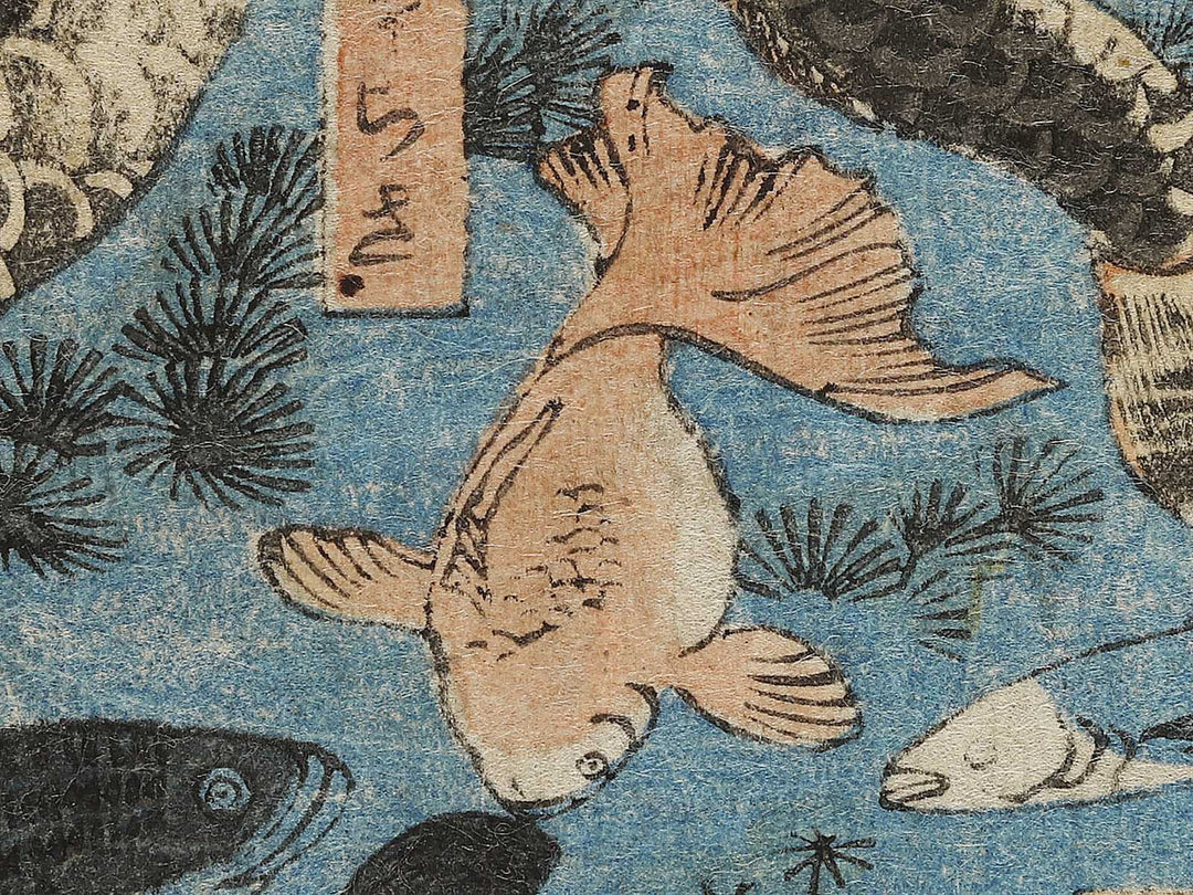 Sakana zukushi / BJ325-836