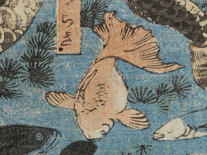 Sakana zukushi / BJ325-836