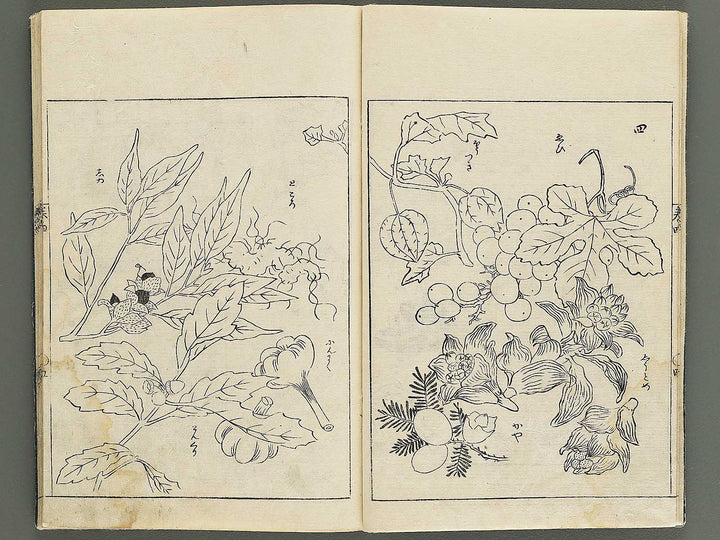 Gashi kaiyo Volume 4 by Ooka Shunboku / BJ347-536