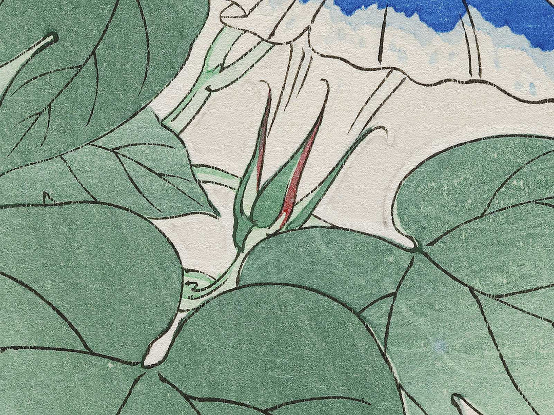 Asagao by Kawarazaki Shodo, (Large print size) / BJ331-338