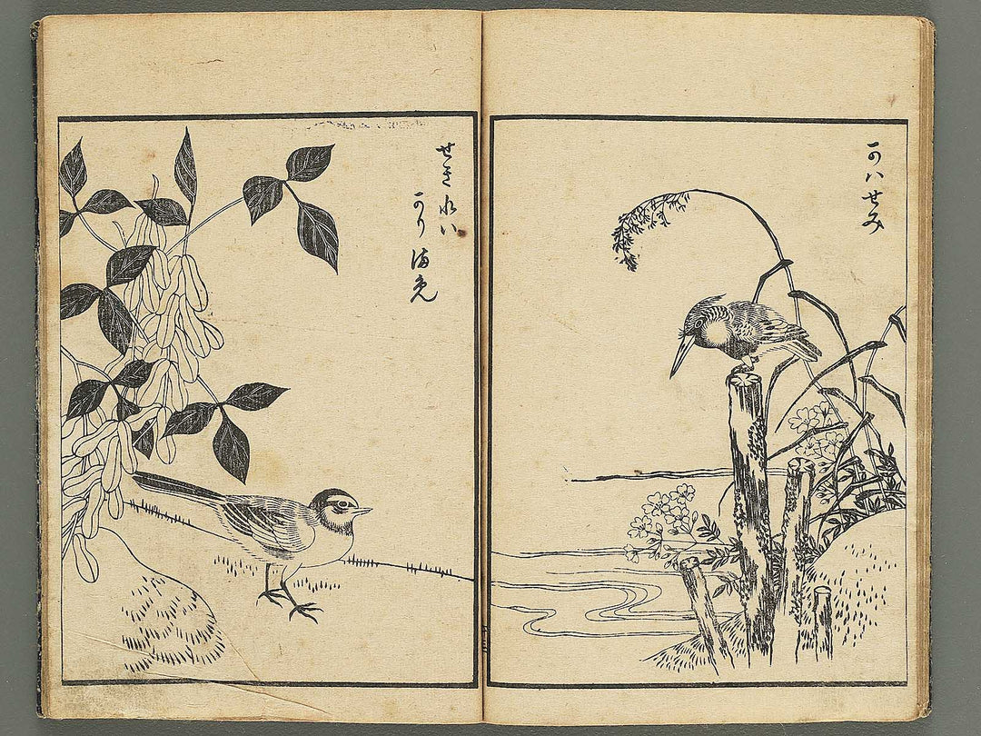 Kacho gafu by Asai Osui / BJ345-842