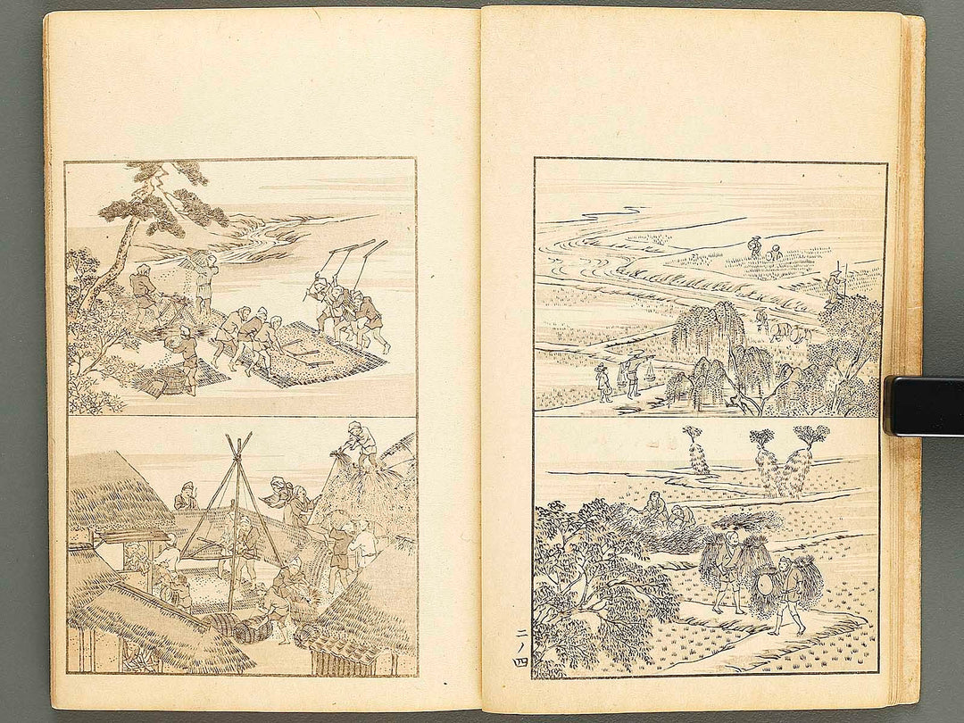 Chiyomikusa Volume 2 by Takeuchi Shigeyo / BJ324-086