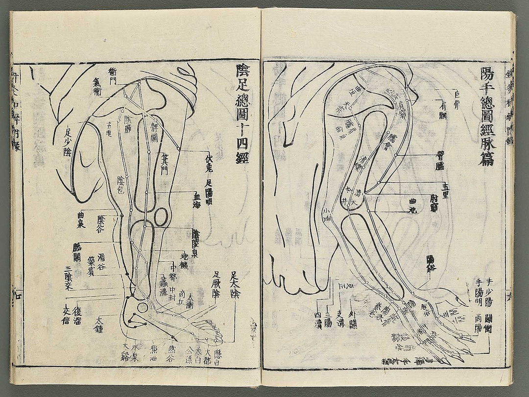 Shikyu wage (furoku) by Okamoto Ippo / BJ347-459