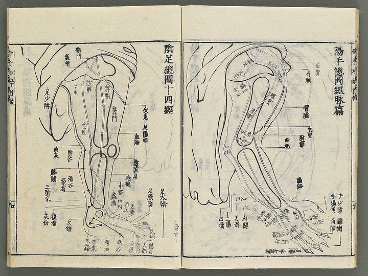 Shikyu wage (furoku) by Okamoto Ippo / BJ347-459