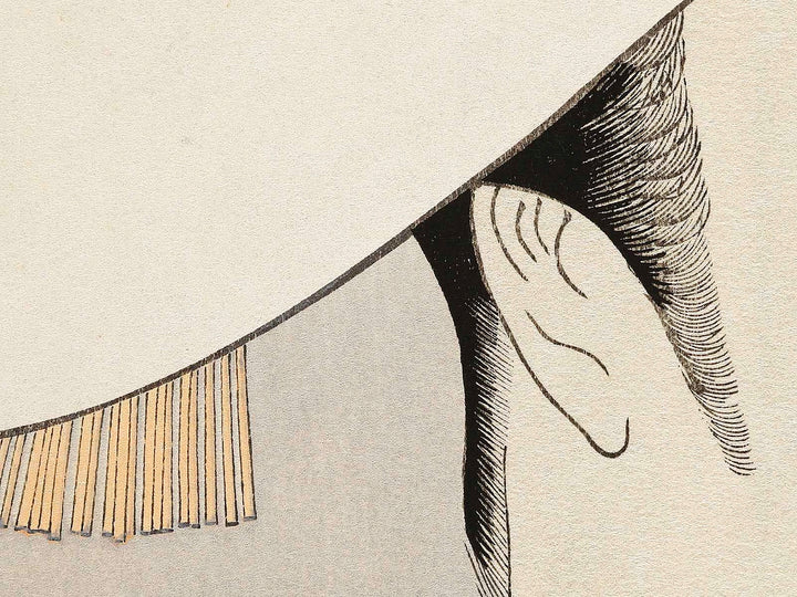 Tomimoto Toyohina from the series Komei bijin rokkasen by Kitagawa Utamaro, (Large print size) / BJ320-810