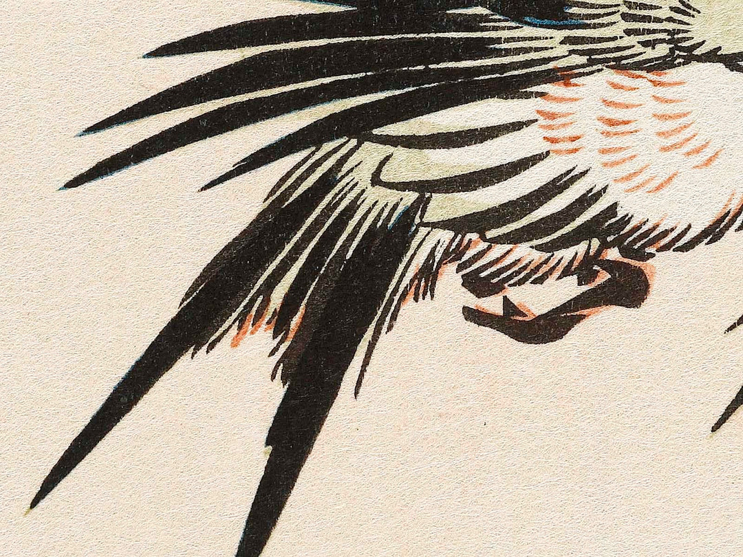 Moonlight night pink   swallow by Utagawa Hiroshige, (Medium print size) / BJ328-132