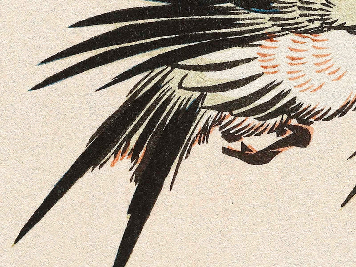 Moonlight night pink   swallow by Utagawa Hiroshige, (Medium print size) / BJ328-132