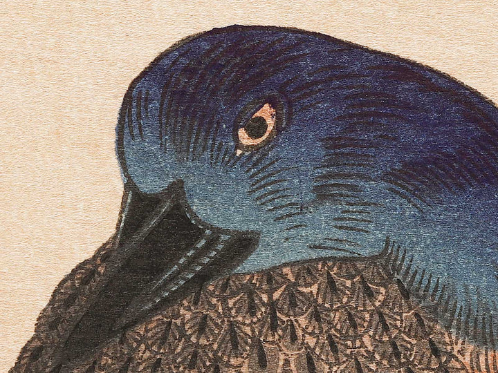 Duck and Kingfisher from the series Momotidori kyoka awase by Kitagawa Utamaro, (Large print size) / BJ331-667