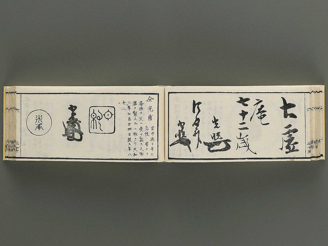 Shoga hikkei meika zensho Volume 6 / BJ348-635