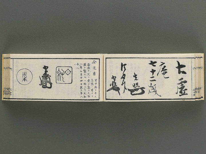 Shoga hikkei meika zensho Volume 6 / BJ348-635