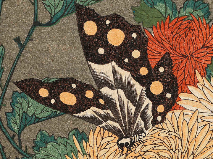 Kiku ni cho by Utagawa Hiroshige, (Large print size) / BJ323-281