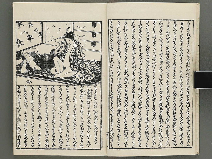 Insho kaiko ki Volume 12 by Utagawa Yoshikazu / BJ345-800