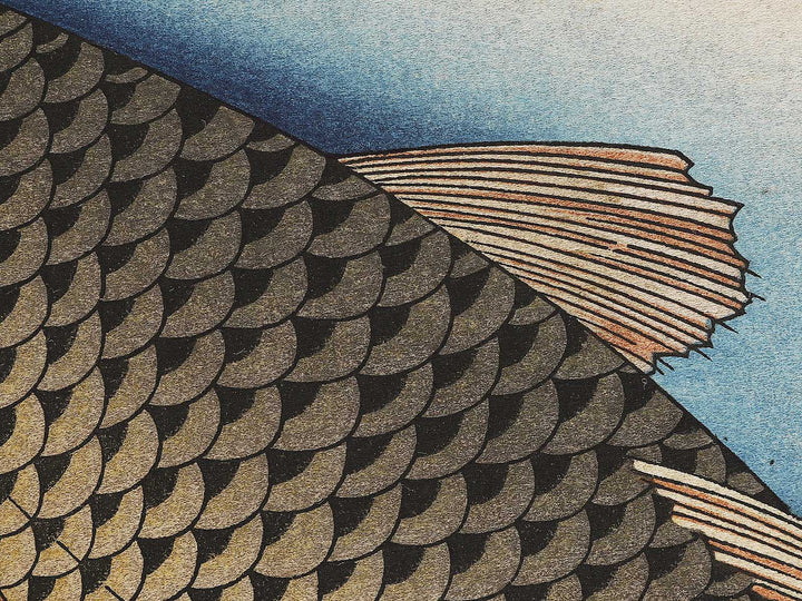 Japanese Carp from the series the series fish by Utagawa Hiroshige, (Large print size) / BJ323-407
