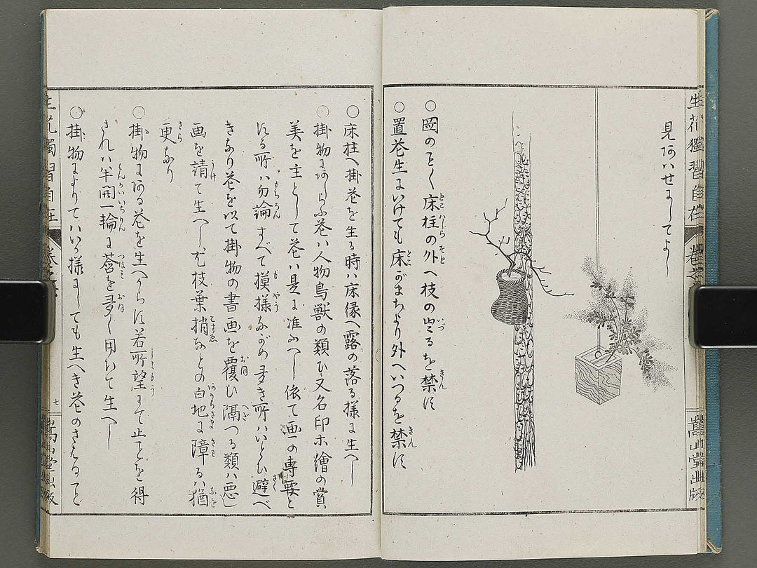 Shoryu hiden ikebana dokushu jizai Volume 6 / BJ332-766