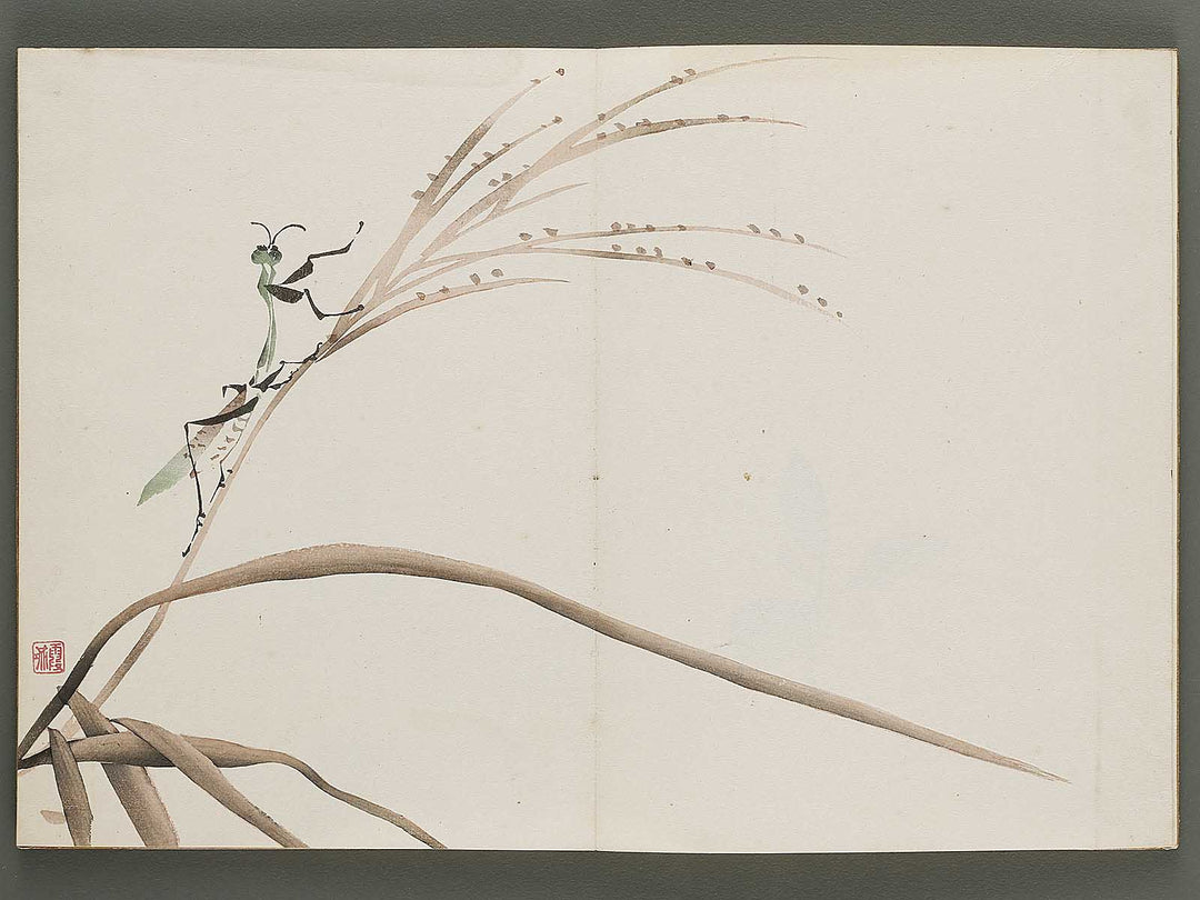 Kajo shugacho Volume 1 by Matsuda Kajo / BJ333-487