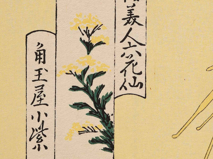 The Oiran Komurasaki of Kadotamaya Reading a Letter from the series Seiro bijin rokkasen by Chobunsai Eishi, (Large print size) / BJ232-694