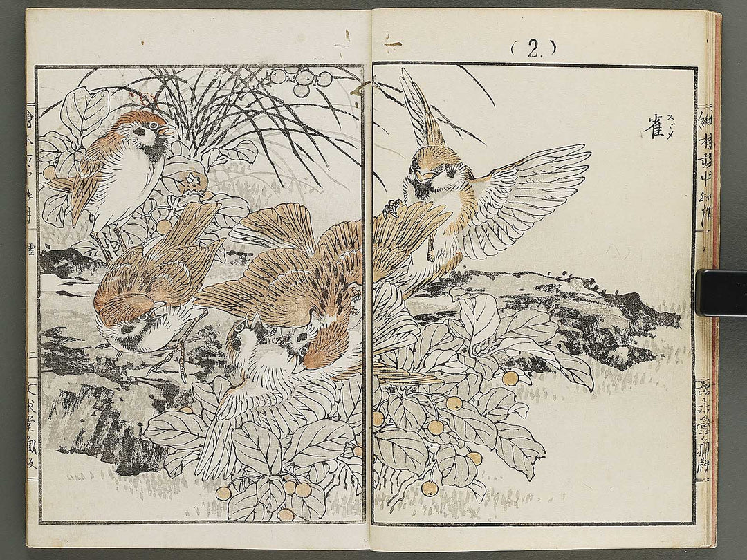 Ehon inaka no tsuki Setsu by Kono Bairei / BJ341-222