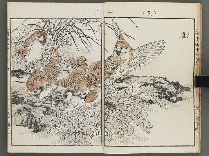 Ehon inaka no tsuki Setsu by Kono Bairei / BJ341-222