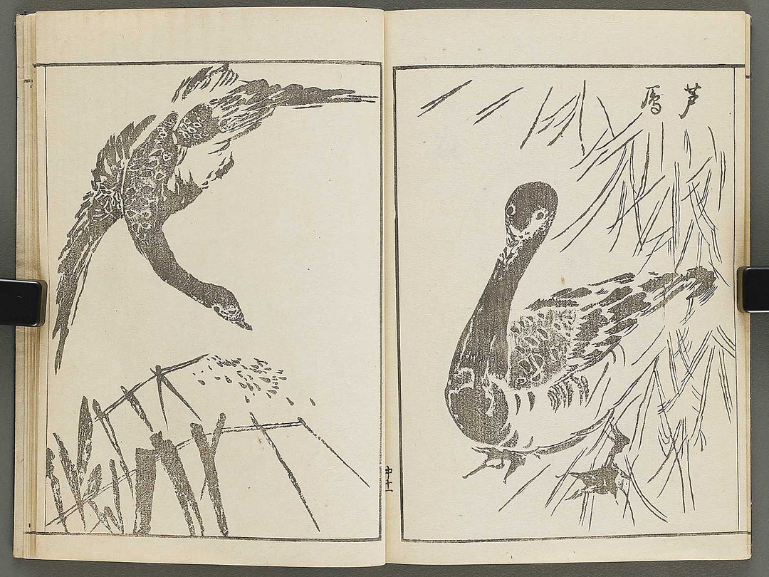 Shinki isso (Chu) by Kuwagata Keisai / BJ326-508