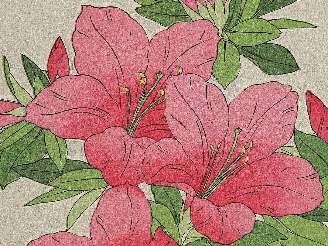 Tsutsuji by Kawarazaki Shodo, (Large print size) / BJ346-262