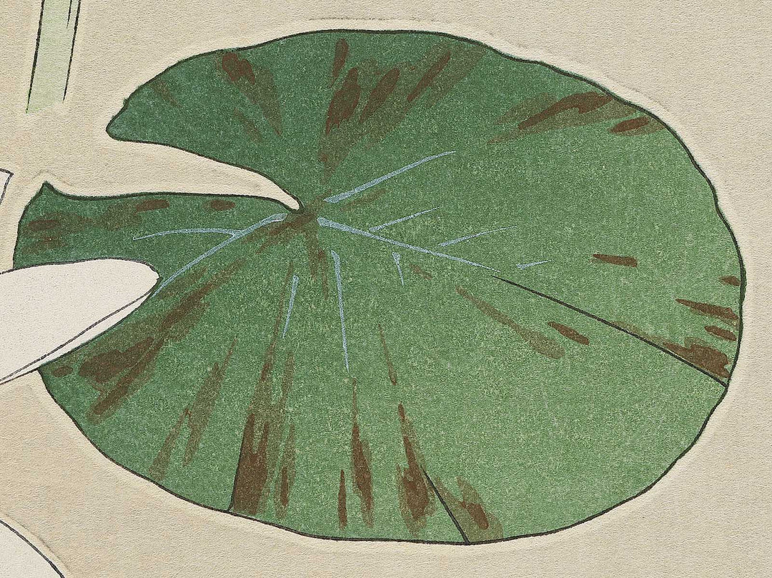 Suiren by Kawarazaki Shodo, (Large print size) / BJ346-283