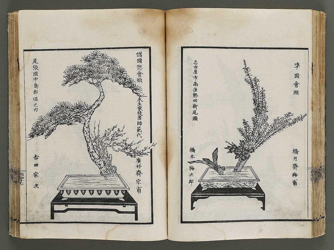 Kinen soka sanko no kaori (Ge) by Sawamura Riho / BJ324-688