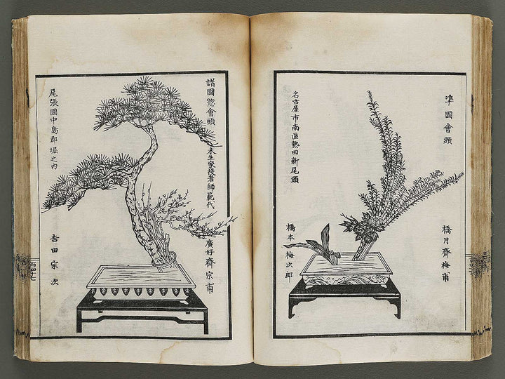 Kinen soka sanko no kaori (Ge) by Sawamura Riho / BJ324-688