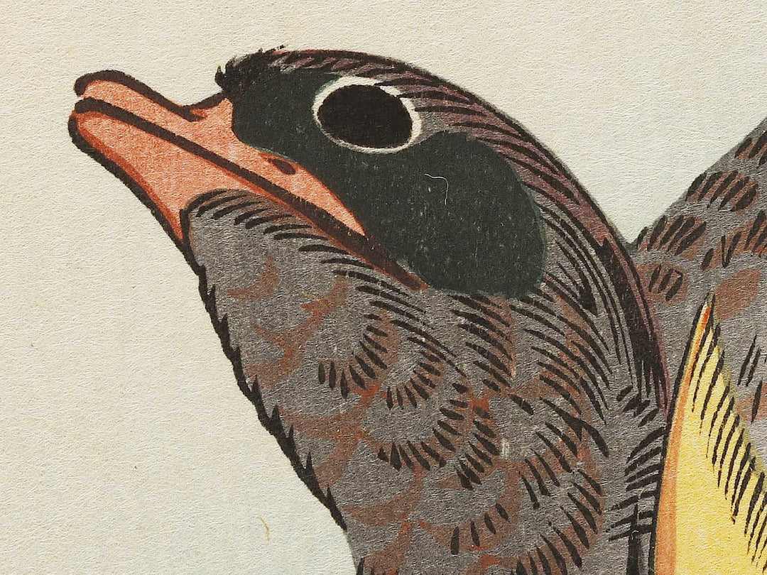 Mandarin duck  by Utagawa Hiroshige, (Medium print size) / BJ328-076
