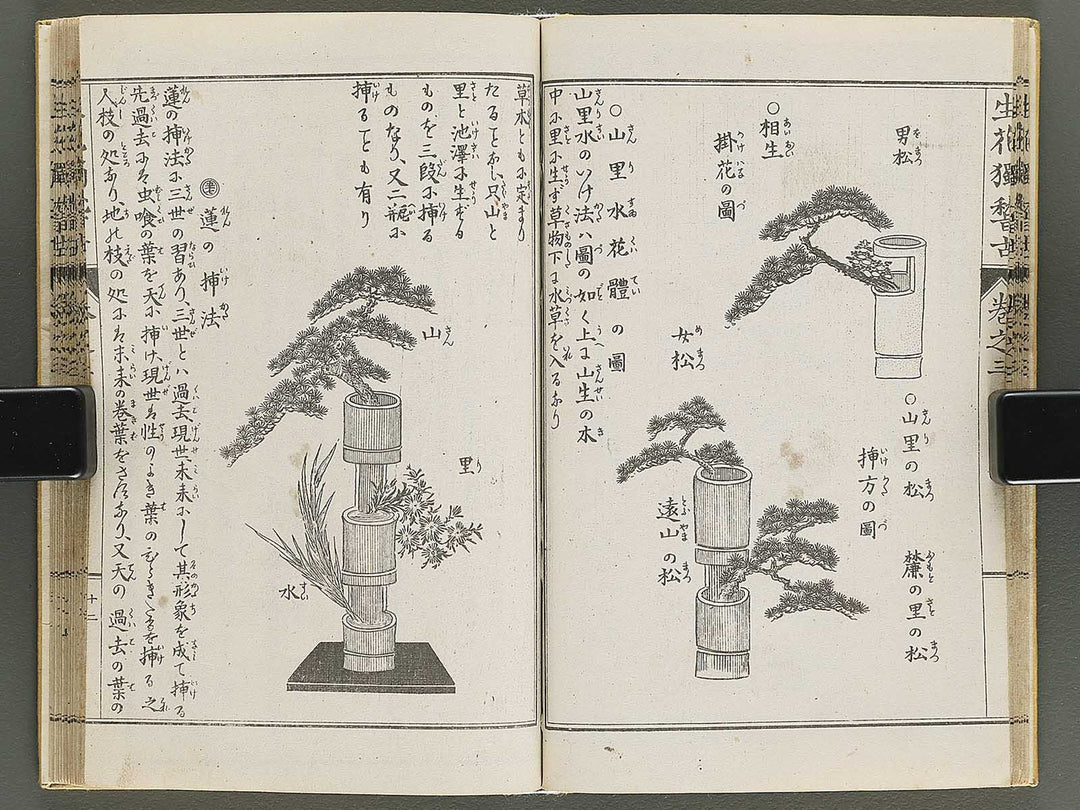 Shoryu hiden ikebana hitorigeiko Volume 3 / BJ347-942