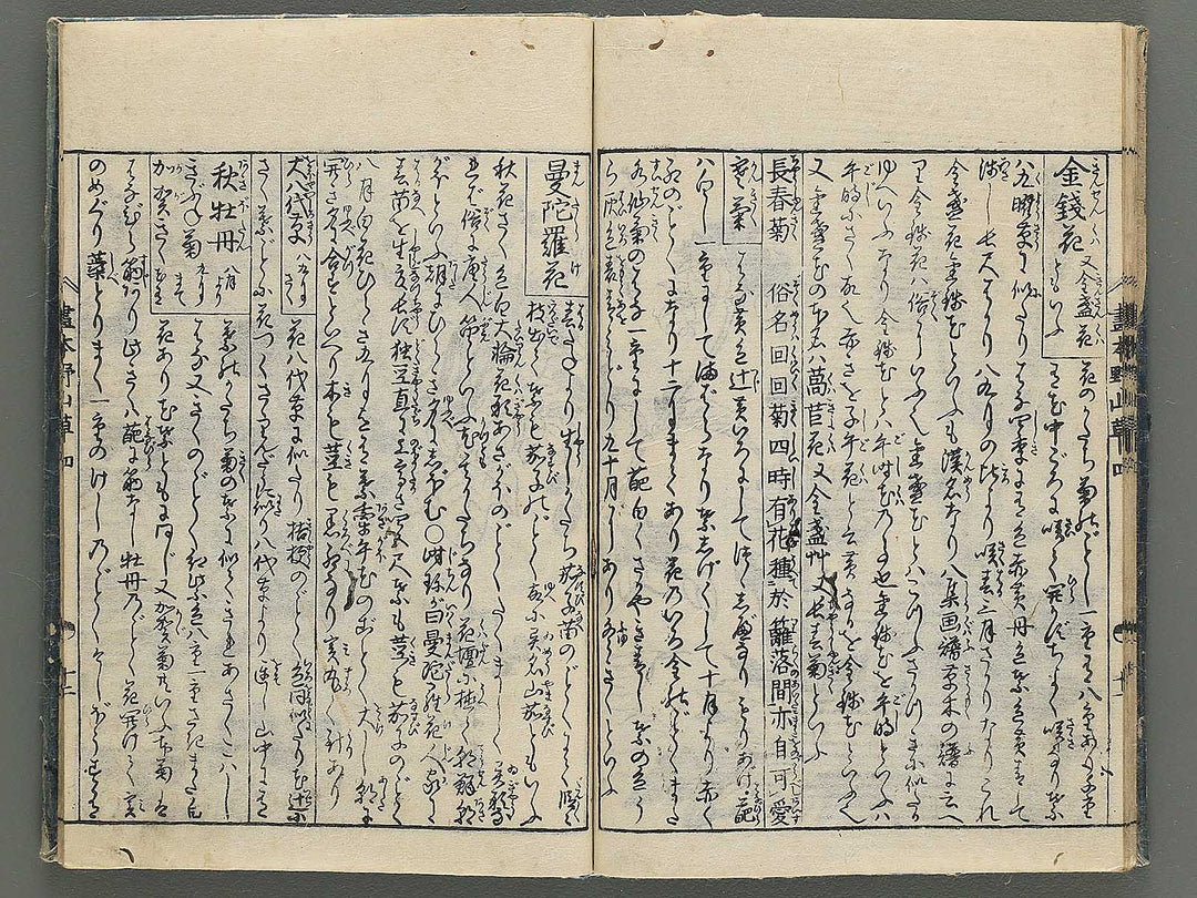 Gahon noyama gusa Volume 4 / BJ346-332