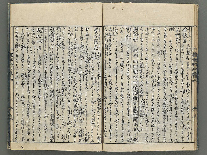 Gahon noyama gusa Volume 4 / BJ346-332