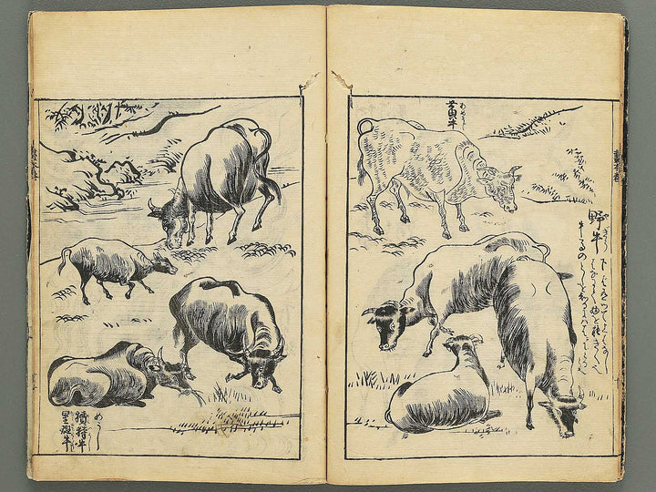 Ehon shoshin hashiradate (Ge) by Tachibana Morikuni / BJ348-649