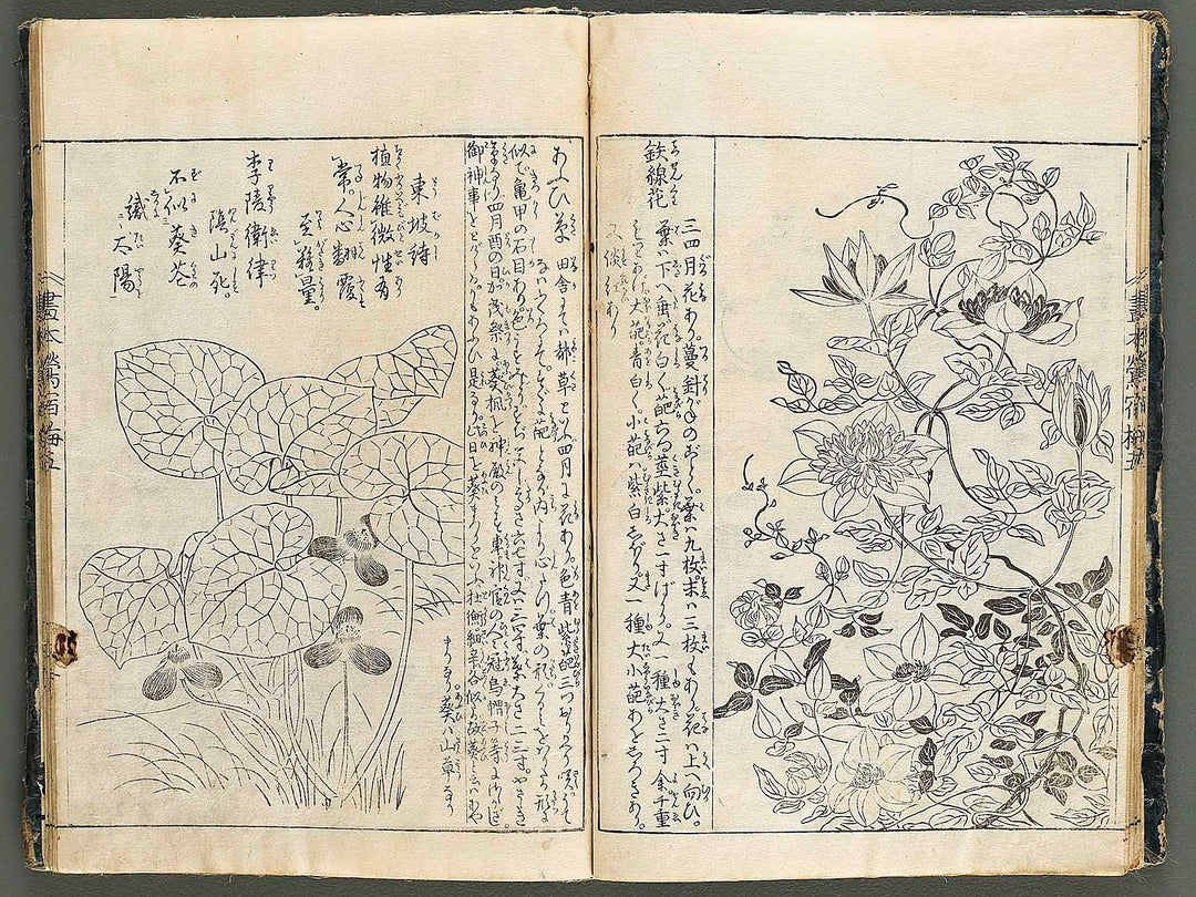 Ehon oushukubai Volume 5 by Tachibana Morikuni / BJ327-691