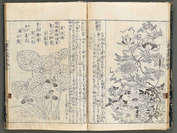 Ehon oushukubai Volume 5 by Tachibana Morikuni / BJ327-691