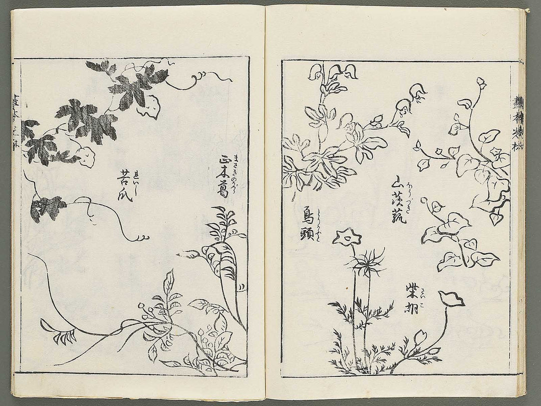 Korin michishirube by Nonomura Chube / BJ351-127