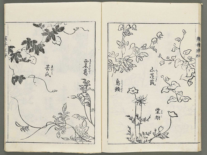 Korin michishirube by Nonomura Chube / BJ351-127