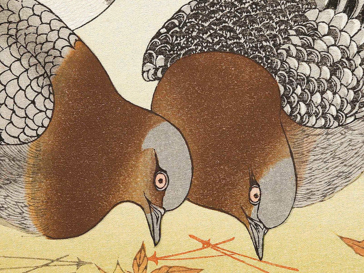 A flock of sparrows and Dove from the series Momochidori kyokaawase by Kitagawa Utamaro, (Large print size) / BJ328-055