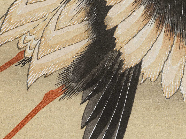 Konotori by Katsushika Hokusai / BJ321-650