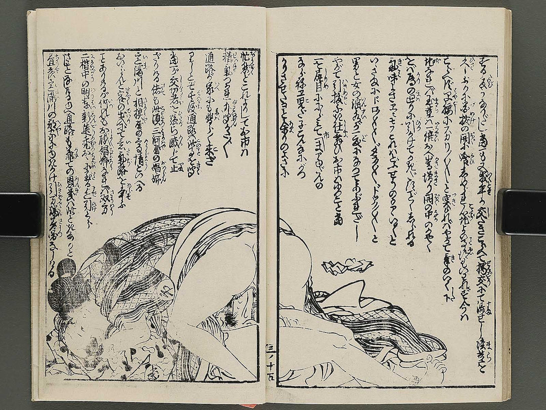 Insho kaiko ki Volume 3 by Utagawa Yoshikazu / BJ345-758