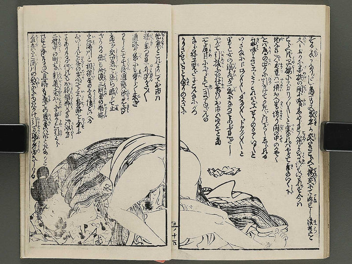 Insho kaiko ki Volume 3 by Utagawa Yoshikazu / BJ345-758