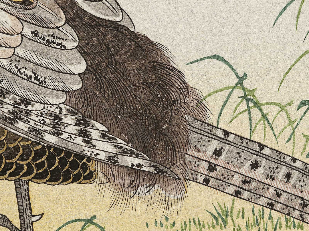 Swallow and Pheasant from the series Momochidori kyoka awase by Kitagawa Utamaro, (Large print size) / BJ327-964