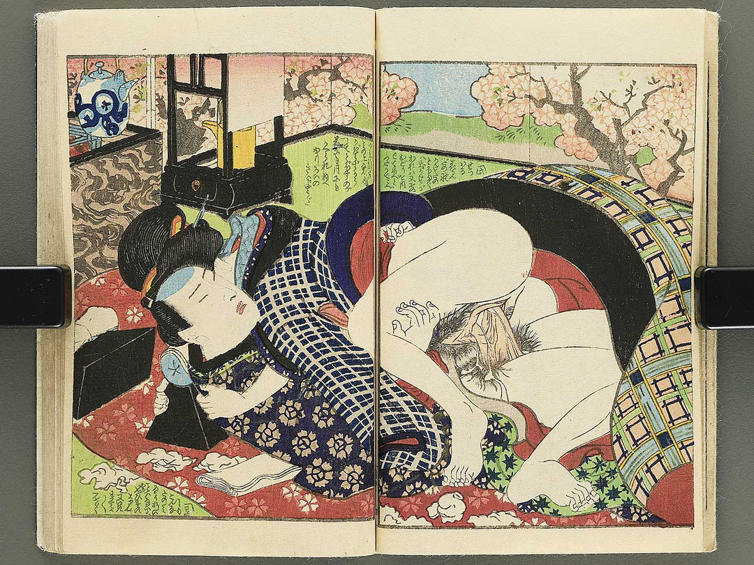 Hana no nemuri shiki monogatari by Insuitei Shozan / BJ355-096