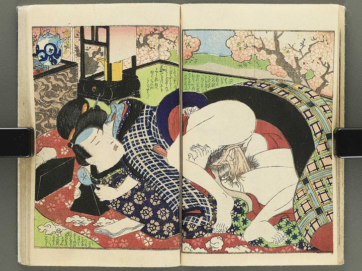 Hana no nemuri shiki monogatari by Insuitei Shozan / BJ355-096
