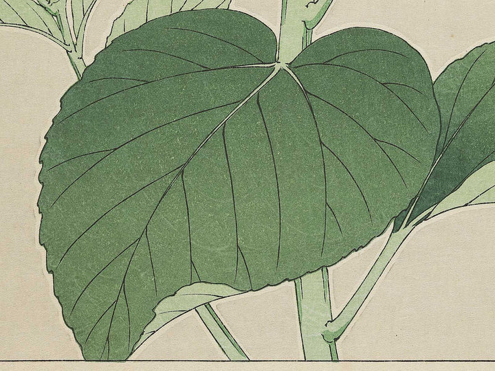 Himawari by Kawarazaki Shodo, (Large print size) / BJ346-276