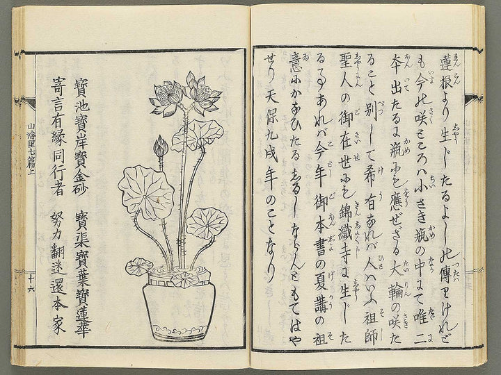 Sankairi Volume 7, (Jo) / BJ353-500