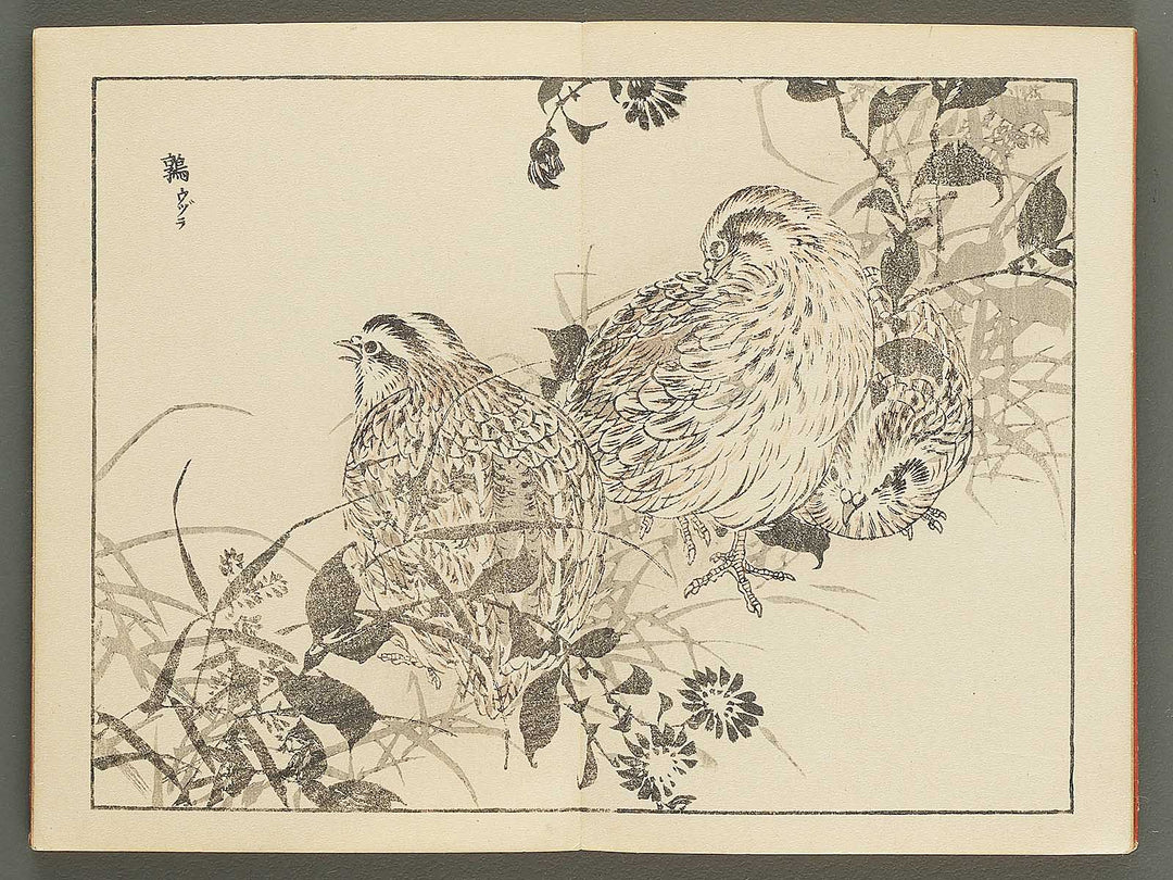 Bairei gafu (Kacho no bu) by Kono Bairei / BJ351-113
