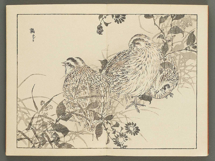 Bairei gafu (Kacho no bu) by Kono Bairei / BJ351-113