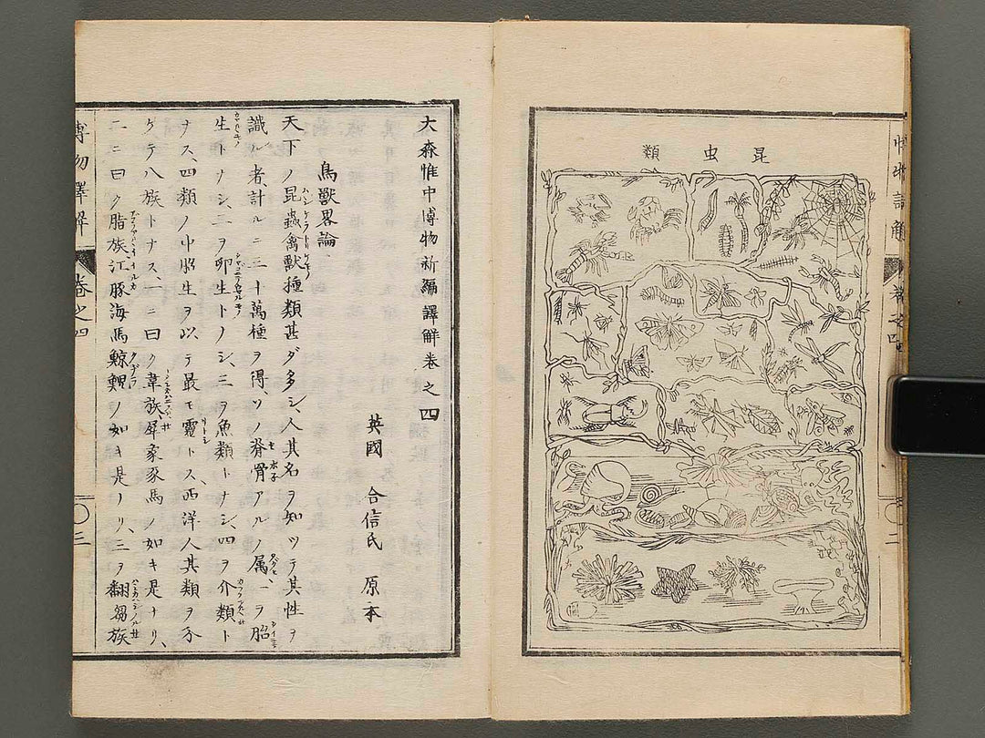 Hakubutsu shinpen yakkai Volume 4 / BJ282-114