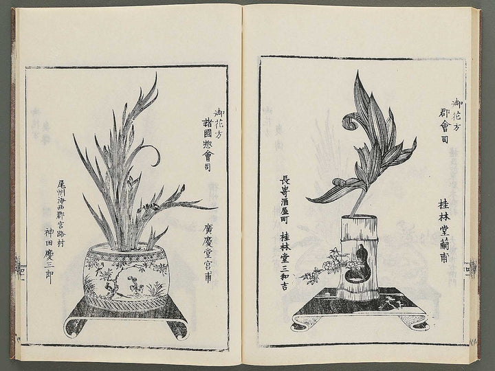 Naniwa no hana by Matsukawa Hanzan / BJ348-992